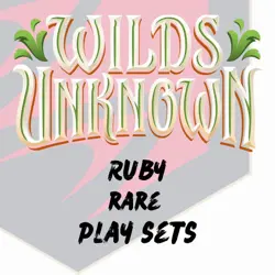 Disney Lorcana Wilds Unknown Ruby Rare Play Sets - Image 1