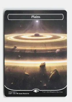 Plains () (Borderless) 240 Unfinity MTG NM - Image 1