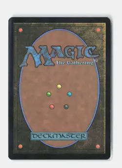 Plains () (Borderless) 240 Unfinity MTG NM - Image 2