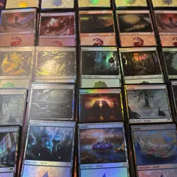 25 FOIL Basic Land Random sets NM Magic The Gathering MTG - Image 5
