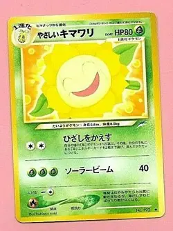 POCKET MONSTERS JAPANESE CARD - Image 1