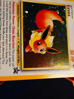 MP Pokemon EEVEE Card BLACK STAR PROMO Set #11 HOLO Foil League WOTC#8 - Image 5
