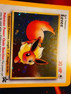 MP Pokemon EEVEE Card BLACK STAR PROMO Set #11 HOLO Foil League WOTC#4 - Image 4