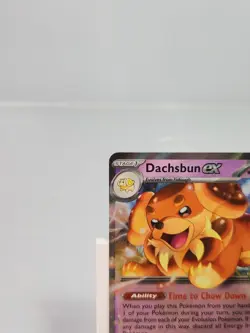 Dachsbun ex 067/142 Double Rare Holo Stellar Crown Pokemon - Image 2