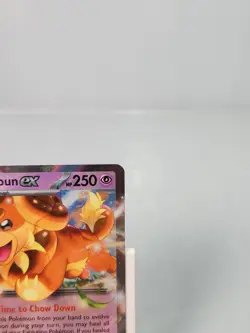 Dachsbun ex 067/142 Double Rare Holo Stellar Crown Pokemon - Image 3