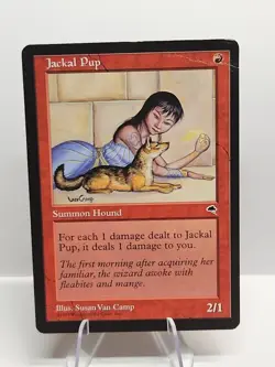 Jackal Pup - MP - Tempest MTG Magic the Gathering TMP #183 - 1997 - Image 1