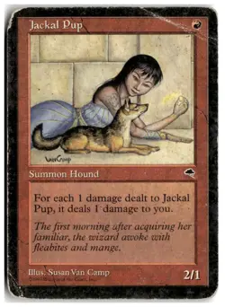MTG Jackal Pup - Tempest Heavily Played English - Image 1