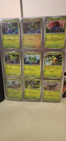 Near complete set Phantasmal Flames Pokemon Cards in Folder - Image 2