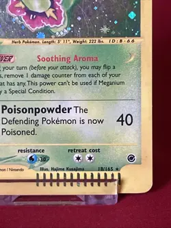 Meganium Expedition 18/165 Holo Shiny Card Excellent Condition Pokemon (T95) - Image 5