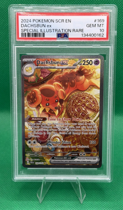 Pokemon TCG Dachsbun ex SIR 169/142 SV07 Stellar Crown 2024 PSA 10 GEM MINT 💎 - Image 1