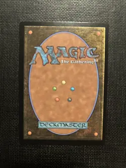 Evolving Wilds - Normal - Foundations - Magic the Gathering MTG Nice! - Image 2
