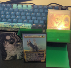 MTG Raining Cats and Dogs Deck Sleeved and Boxed Unplayed - Image 1