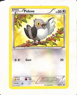 Pokemon Pidove Toys R Us Mystery Promo BW15 Black & White NM - CLEAN - Image 1