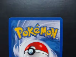 Pokemon - Mudkip 65/97 Common Ex Dragon - Image 4
