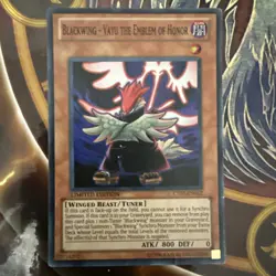Blackwing - Vayu the Emblem of Honor CT07-EN012 2010 Tins Limited Edition LP - Image 1