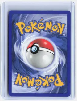 Pelipper 19/109 Rare Ruby & Sapphire Pokemon Near Mint - Image 2