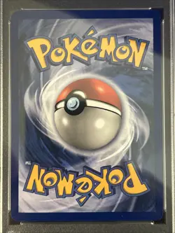 Pokemon Moltres 12/62 (1st Edition) Fossil Holo *PSA 8* Freshly Graded Card - Image 3