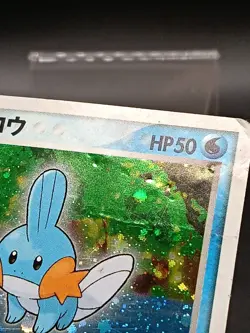 Mudkip 003/019 Mudkip Deck Holo ADV Starter Japanese Pokemon Card A36 - Image 4