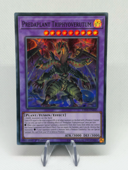 Predaplant Triphyoverutum LED5-EN045 Super Rare 1st Edition NM YuGiOh - Image 1