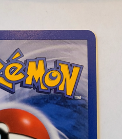 Pokemon TCG: Growlithe EX FireRed & LeafGreen #64/112 MINT - Image 4