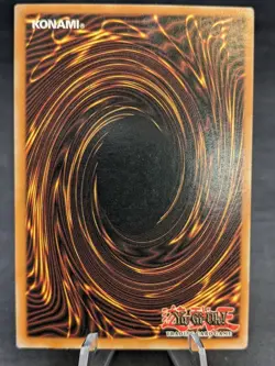 Dark Paladin | DMG-001 Limited Edition | Yugioh | Misprint | LP - Image 2