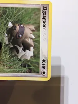 Zigzagoon 74/106 Emerald Common Pokemon Cards - NM - Image 5