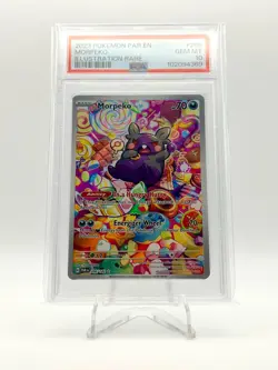 2023 POKEMON PARADOX RIFT IR ILLUSTRATION RARE MORPEKO 206/182 PSA 10 - Image 1