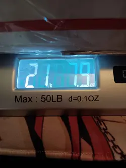 MTG 21LB Bulk 4,000+ Common/Uncommon/NO LANDS All Sorts of Sets READ DESCRIPTION - Image 3