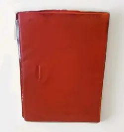 VINTAGE [1999] Pokemon Pikachu Red Collector's Album Pocket Binder Official - Image 2
