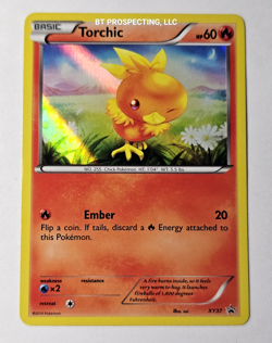 2014 XY BLACK STAR PROMO TORCHIC XY37 HOLO - Image 1