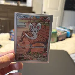 Minccino 152/086 - Pokemone Sv: Black Bolt - Holo Illustration Rare NM - Image 2