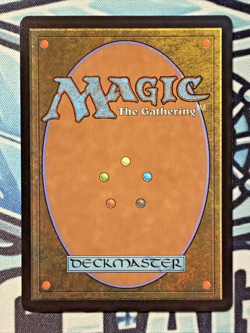 Blooming Marsh #266 - MTG Outlaws of Thunder Junction NM Non-Foil - Image 2