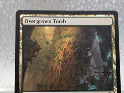 Magic the Gathering * Overgrown Tomb * Lorwyn Eclipsed * Regular * NM-M - Image 2