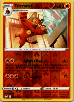Pokemon Torracat 031/195 Reverse Holo Silver Tempest NM - Image 1