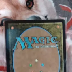 Mtg The Girl With Magical Power Tina Borderless 204 English Version - Image 5