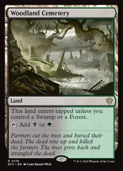 MTG Lot - Set Complet des 10 Check Lands -Magic- Drowned Catacombs. Commander - Image 4