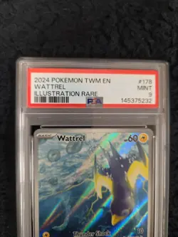 Pokemon 2024 Wattrel Illustration Rare IR Twilight Masquerade Mint PSA 9 - Image 3