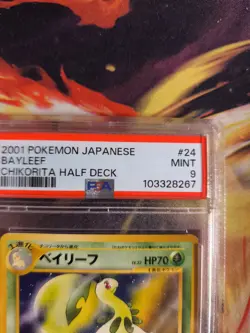 Pokemon Card Bayleef Lorblatt Intro Starter Pack Deck Chikorita Japanese PSA 9 - Image 4