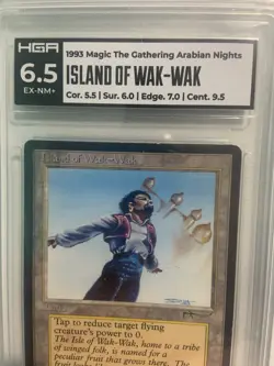 Magic: The Gathering - Island Of Wak-Wak - Arabian Nights - Grade 6.5 HGA EX-NM+ - Image 1