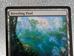 Magic the Gathering * Breeding Pool * Edge of Eternities * Regular * NM-M - Image 2
