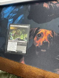 Mtg Grave Researcher - Secrets of Strixhaven + Bonus Foils - Image 1