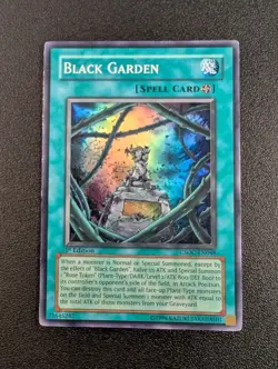 Black Garden CSOC-EN048 Super Rare 1st Edition LP - Image 1