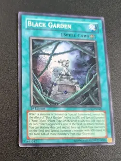 Black Garden CSOC-EN048 Super Rare 1st Edition LP - Image 2
