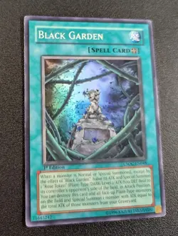 Black Garden CSOC-EN048 Super Rare 1st Edition LP - Image 3