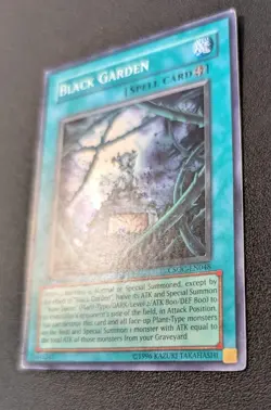 Black Garden CSOC-EN048 Super Rare 1st Edition LP - Image 5