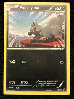 ERROR Card Poochyena 16/39 Kalos Starter Kit - Pokemon - Miscut Square Corner MP - Image 1