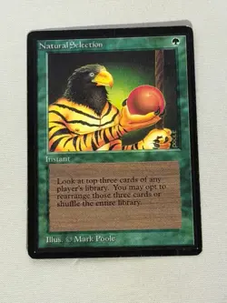 MTG Natural Selection Beta Magic the Gathering - Image 1
