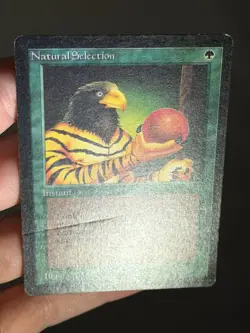 MTG Natural Selection Beta Magic the Gathering - Image 2