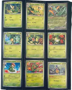 Pokemon Black Bolt Standard Set – Complete Binder Collection (Read Description) - Image 3
