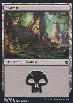 Swamp (260) - Medium Play MTG Khans of Tarkir - Image 1